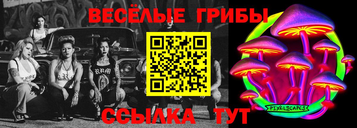 Галлюциногенные грибы мицелий Зима